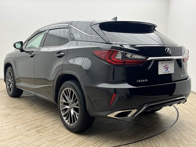 Lexus RX 2018-04 14086-15