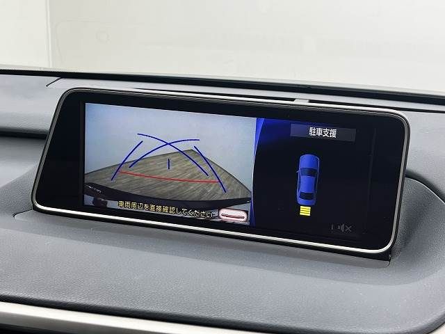 Lexus RX 2018-04 14086-3