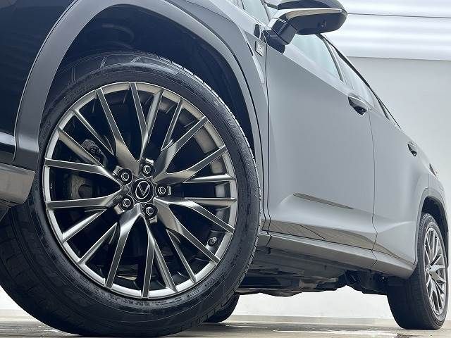 Lexus RX 2018-04 14086-18