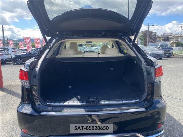 Lexus RX 2020-05 304840-14