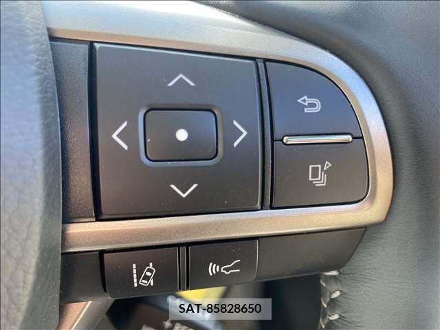 Lexus RX 2020-05 304840-11
