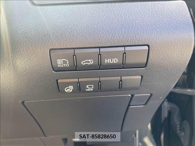Lexus RX 2020-05 304840-10