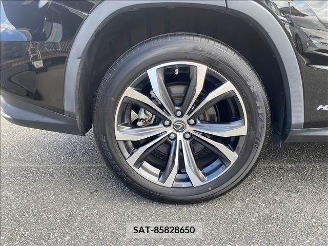 Lexus RX 2020-05 304840-19
