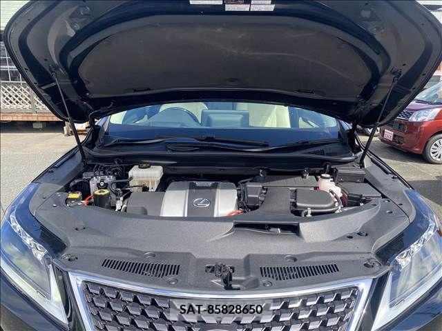 Lexus RX 2020-05 304840-17
