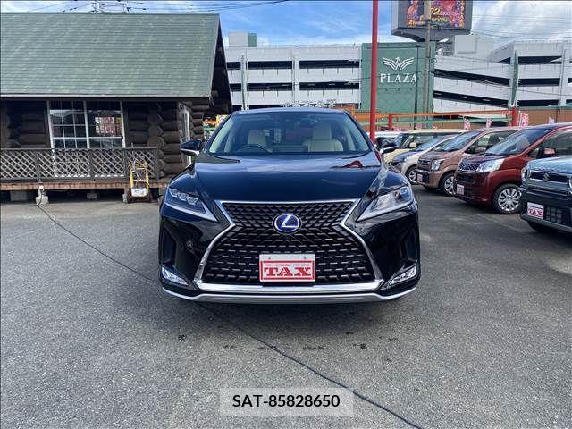 Lexus RX 2020-05 304840-16