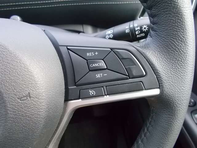 Nissan SERENA 2019-01 22029-6