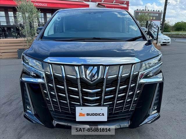 Toyota ALPHARD 2018-03 299423-8