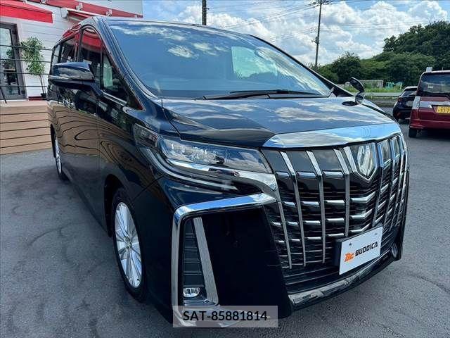 Toyota ALPHARD 2018-03 299423-7