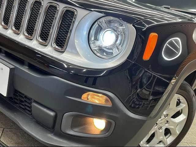 Jeep RENEGADE 2016-03 23631-9