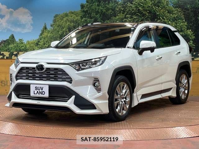 Toyota RAV4 2019-06 313135-5