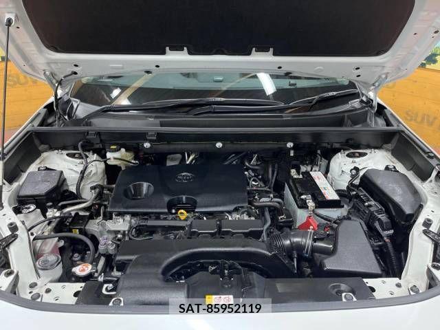 Toyota RAV4 2019-06 313135-19