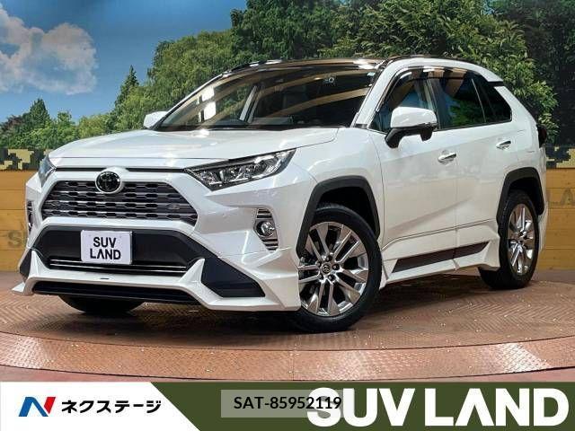 Toyota RAV4 2019-06 313135-0