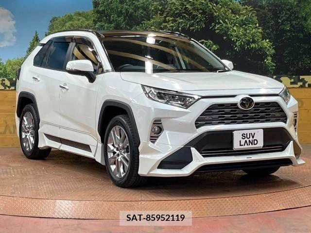 Toyota RAV4 2019-06 313135-17