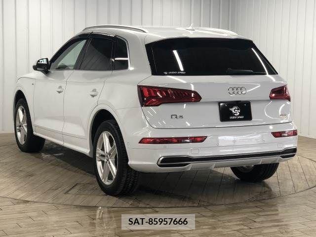 Audi Q5 2019-04 292798-13