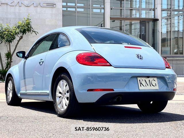 VolksWagen THE BEETLE 2013-06 289653-2