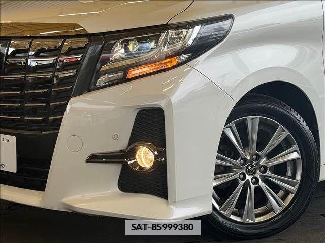 Toyota ALPHARD 2017-06 299390-19