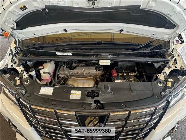 Toyota ALPHARD 2017-06 299390-17