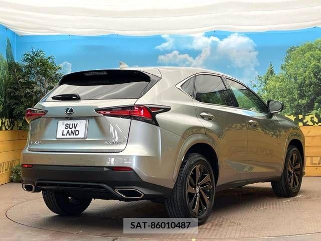 Lexus NX 2021-04 237231-17