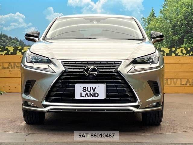 Lexus NX 2021-04 237231-14
