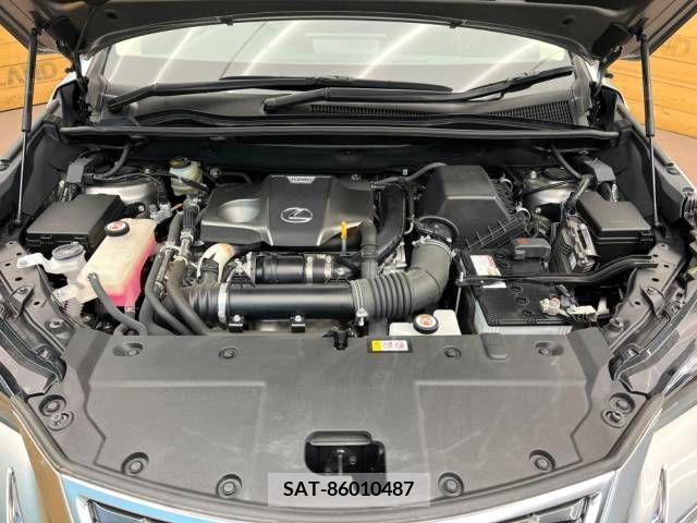 Lexus NX 2021-04 237231-18