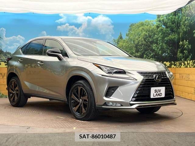 Lexus NX 2021-04 237231-16