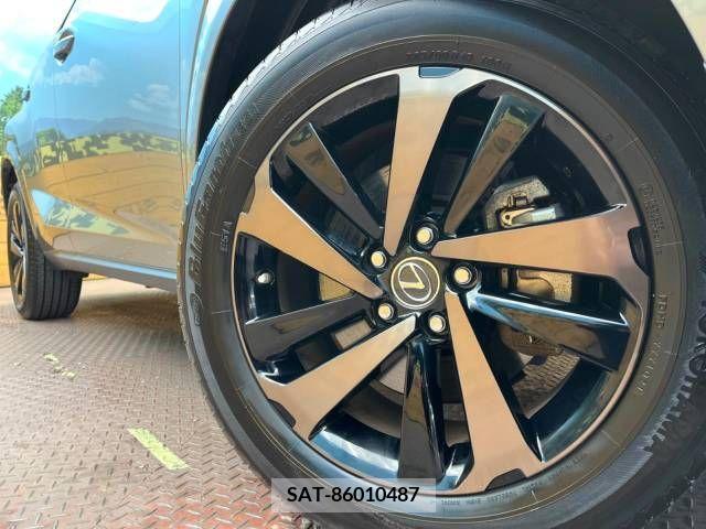 Lexus NX 2021-04 237231-13