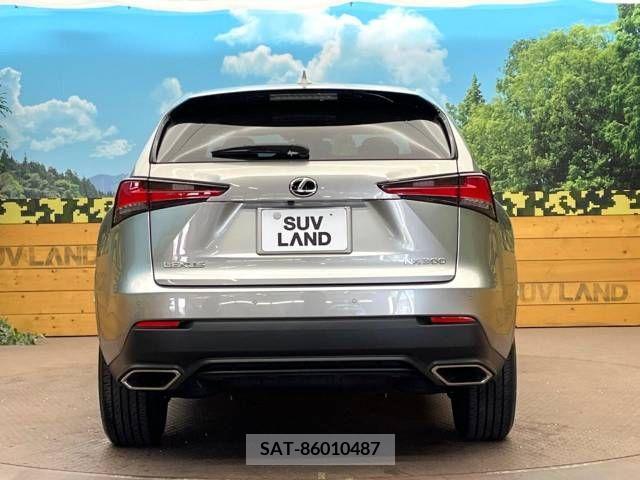 Lexus NX 2021-04 237231-15