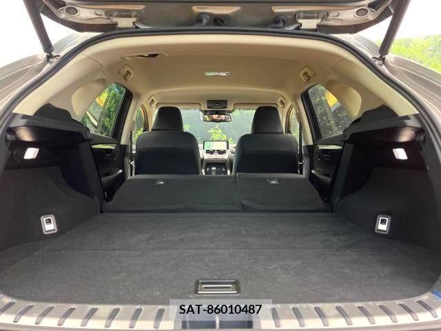 Lexus NX 2021-04 237231-10