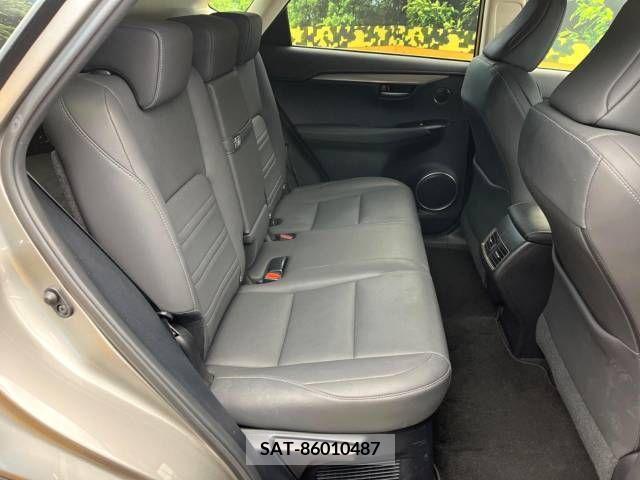 Lexus NX 2021-04 237231-9