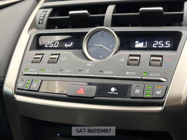 Lexus NX 2021-04 237231-6