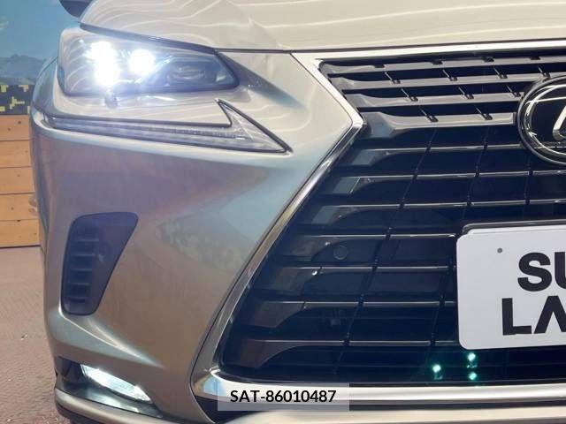 Lexus NX 2021-04 237231-12