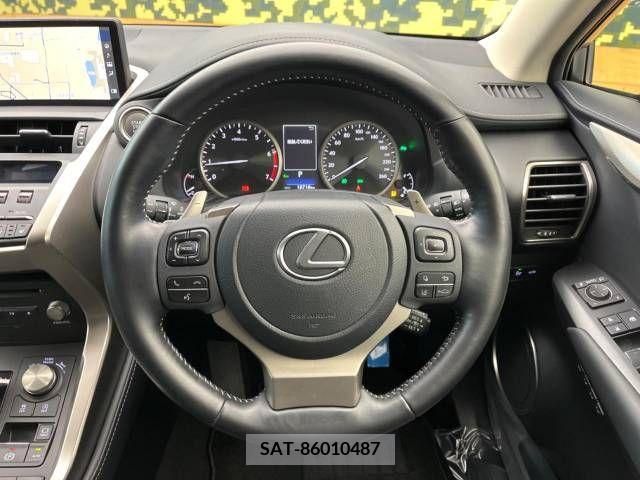 Lexus NX 2021-04 237231-11