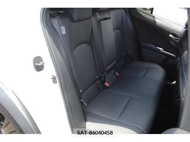 Lexus UX 2021-05 354382-10