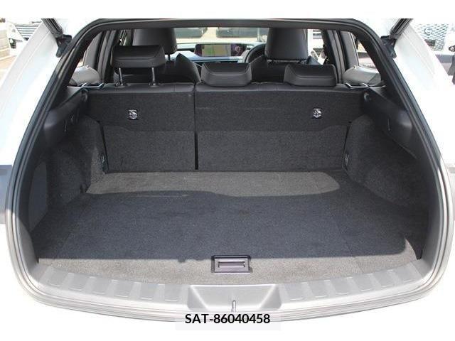 Lexus UX 2021-05 354382-19