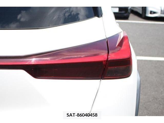 Lexus UX 2021-05 354382-7