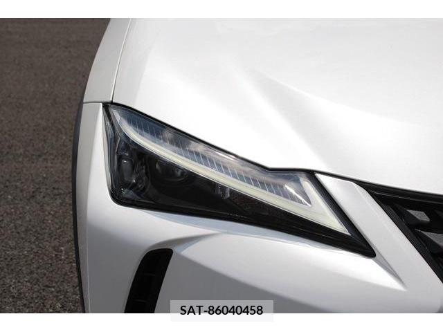 Lexus UX 2021-05 354382-6