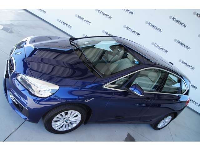Bmw 2 SERIES 2018-06 5299-10