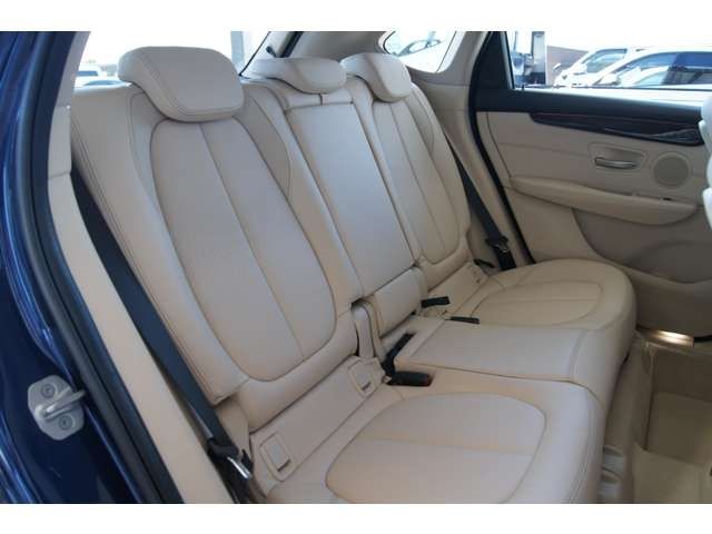Bmw 2 SERIES 2018-06 5299-29