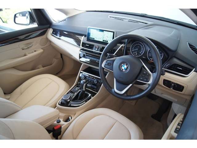 Bmw 2 SERIES 2018-06 5299-23