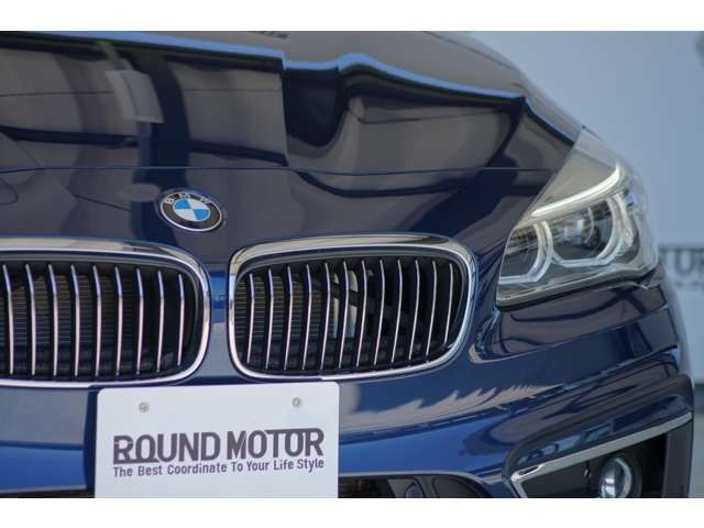 Bmw 2 SERIES 2018-06 5299-4