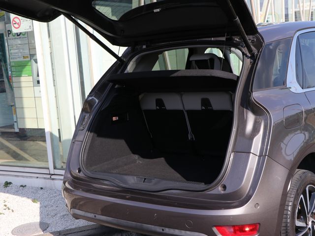 Citroen C4 PICASSO 2017-03 21760-15