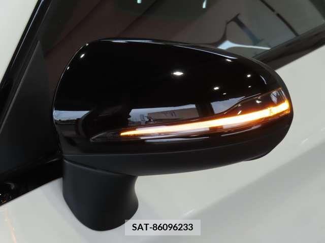 Amg C-CLASS 2016-11 291813-7