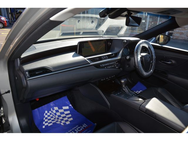 Lexus ES 2019-02 196492-14