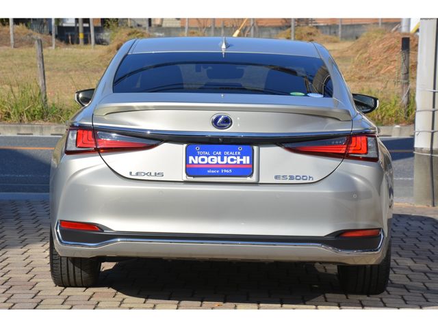 Lexus ES 2019-02 196492-5