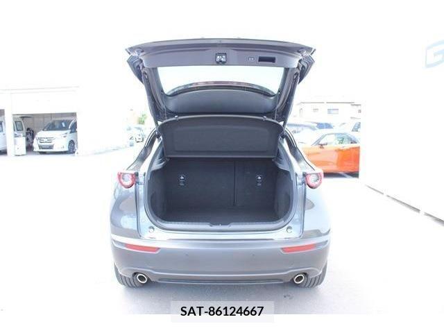Mazda CX-30 2022-09 265641-14