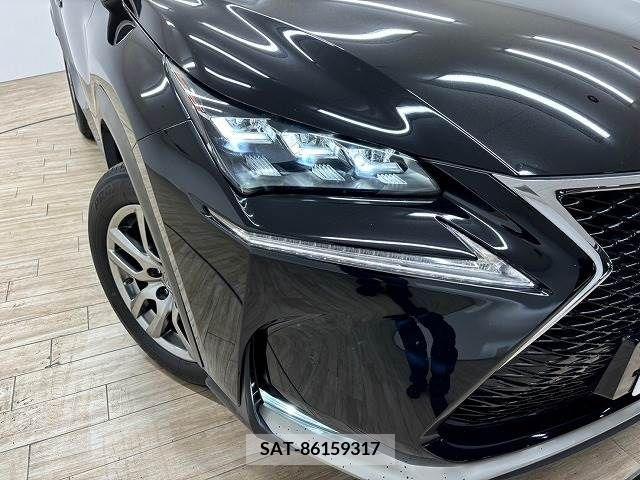 Lexus NX 2016-02 300543-19