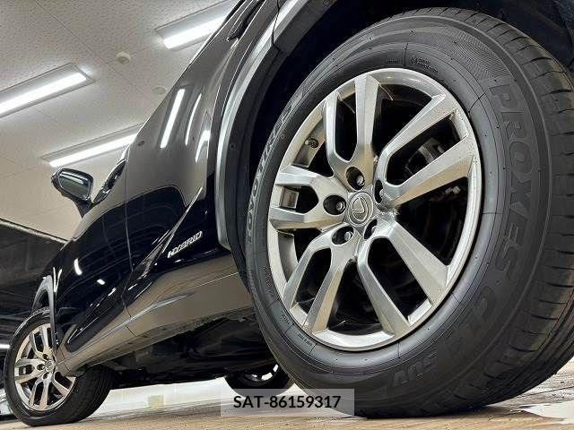 Lexus NX 2016-02 300543-18