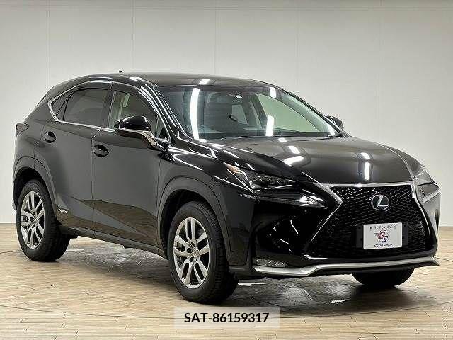 Lexus NX 2016-02 300543-13