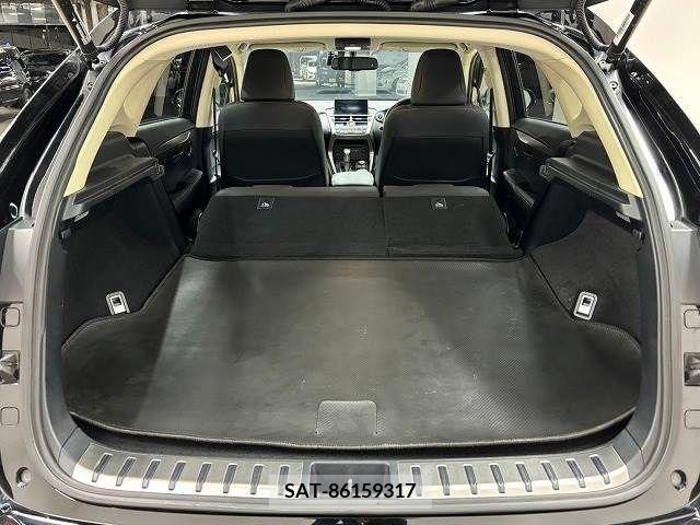 Lexus NX 2016-02 300543-12