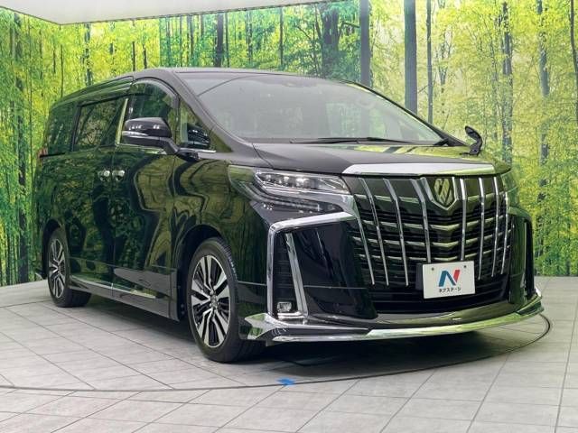 Toyota ALPHARD 2020-11 196779-17